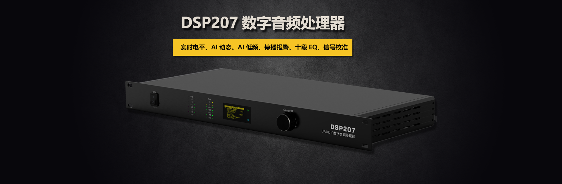 DSP207数字音频处理器